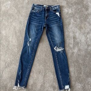 Vervet Classic Blue Distressed Skinny Jeans